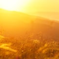 Overcoming Addiction: Is it Possible to Completely Get Rid of an Addiction?